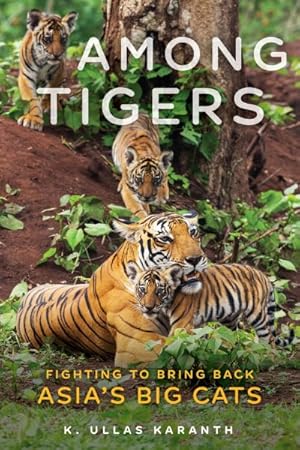 Seller image for Among Tigers : Fighting to Bring Back Asia's Big Cats for sale by GreatBookPrices