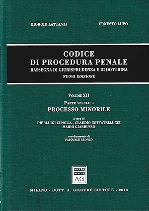 Image du vendeur pour Codice Di Procedura Penale Rassegna Vol. 12: parte speciale, processo minorile mis en vente par librisaggi