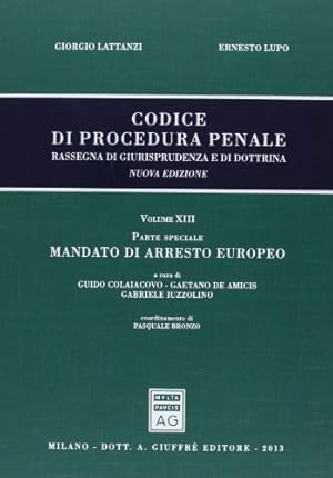 Codice Di Procedura Penale. Vol. 13, parte speciale: mandato di arresto europeo