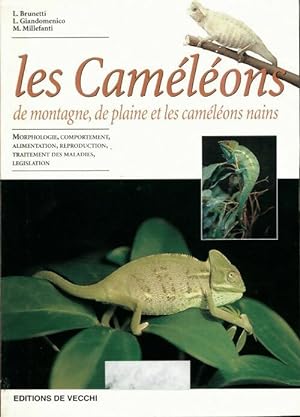 Les caméléons de montagne, de plaine et les caméléons nains - L Brunetti