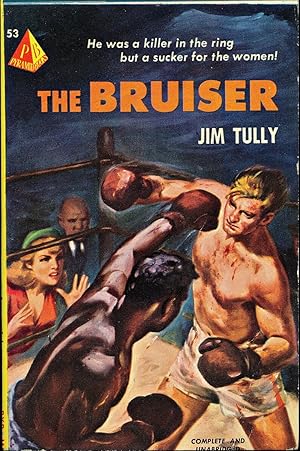 The Bruiser (Vintage Paperback)