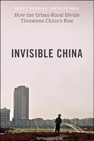 Bild des Verkufers fr Invisible China: How the Urban-Rural Divide Threatens China\ s Rise zum Verkauf von moluna