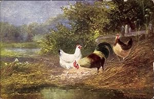 Ansichtskarte / Postkarte Hühner auf dem Land, Teich, Dorf, Bauernhof