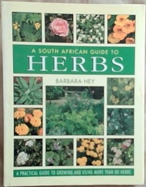 Imagen del vendedor de A South African guide to herbs a la venta por Chapter 1