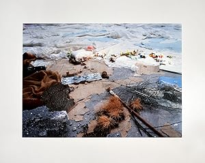 Imagen del vendedor de Stop 6, 2010. [20]10. [Signierte Original-Farbfotografie / signed original photograph] a la venta por Antiquariat Lenzen