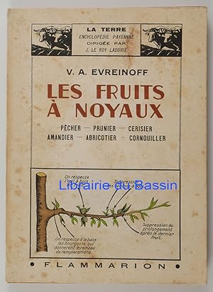 Les fruits à noyaux Pêcher Prunier Cerisier Amandier Abricotier Cornouiller