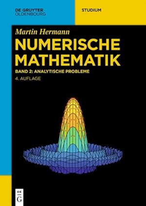 Bild des Verkufers fr Numerische Mathematik Analytische Probleme zum Verkauf von AHA-BUCH GmbH