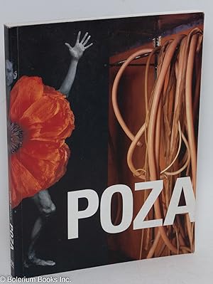 Bild des Verkufers fr Poza: On the Polishness of Polish Contemporary Art zum Verkauf von Bolerium Books Inc.