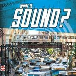 Bild des Verkufers fr What Is Sound? zum Verkauf von Smartbuy