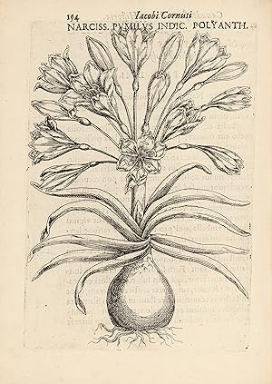 Canadensium plantarum, Historia. Cui adiectum est ad calcem enchiridion botanicum parisiense?