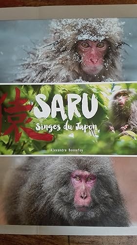 Image du vendeur pour Saru - Singes du Japon mis en vente par Librairie Sabine Leschevin