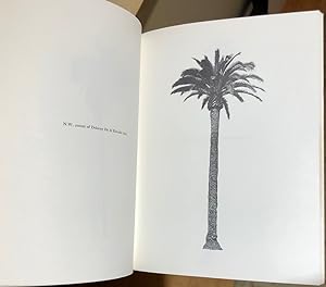 Seller image for A Few Palm Trees for sale by Long Brothers Fine & Rare Books, ABAA