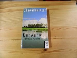 Bild des Verkufers fr Kudenow oder an fremden Wassern weinen : Roman. Rororo ; 4669 zum Verkauf von Versandantiquariat Schfer
