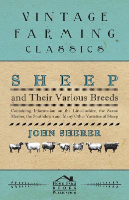 Seller image for Sheep and Their Various Breeds - Containing Information on the Lincolnshire, the Saxon Merino, the Southdown and Many Other Varieties of Sheep (Paperback or Softback) for sale by BargainBookStores