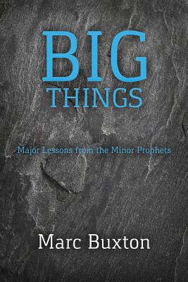 Immagine del venditore per Big Things (Paperback or Softback) venduto da BargainBookStores