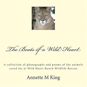 Seller image for Beats of a Wild Heart : A Collection of Photographs and Poems of the Animals Cared for at Wild Heart Ranch Wildlife Rescue for sale by GreatBookPrices