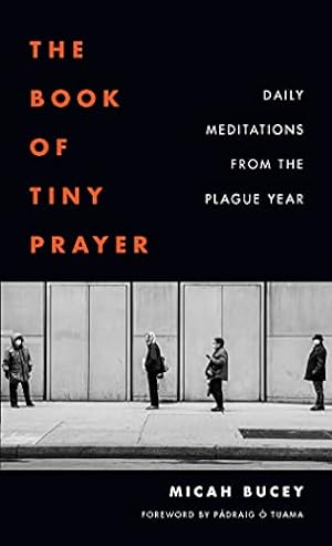 Bild des Verkufers fr The Book of Tiny Prayer: Daily Meditations from the Plague Year zum Verkauf von WeBuyBooks