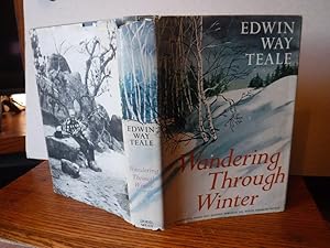 Wandering Through Winter