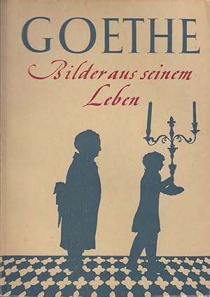 Seller image for Goethe : Bilder aus seinem Leben. for sale by Die Buchgeister