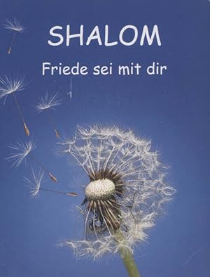 Bild des Verkufers fr Shalom. Friede sei mit dir. [Audio CD]. Aufnahmen aus der Waldkirche Obertshausen Jrgen Weiss, Saxophon, Klarinette / Rainer Wahl , Klavier zum Verkauf von Versandantiquariat Ottomar Khler