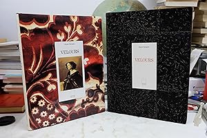 Seller image for Velours for sale by Librairie du Levant