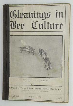 Immagine del venditore per Gleanings in Bee Culture Vol XXXVI August 15, 1908 venduto da Ivy Ridge Books/Scott Cranin