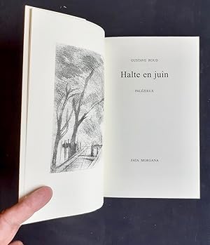 Image du vendeur pour Halte en juin - mis en vente par Le Livre  Venir