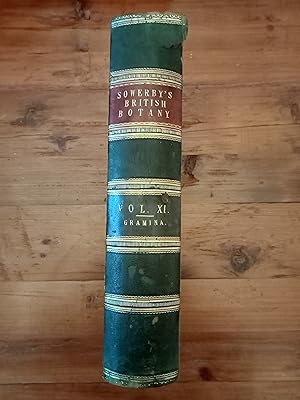 ENGLISH BOTANY; OR, COLOURED FIGURES OF BRITISH PLANTS. Vol. XI. Gramina