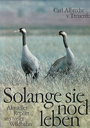 Seller image for Solange sie noch leben. Aktueller Report aus freier Wildbahn for sale by Graphem. Kunst- und Buchantiquariat