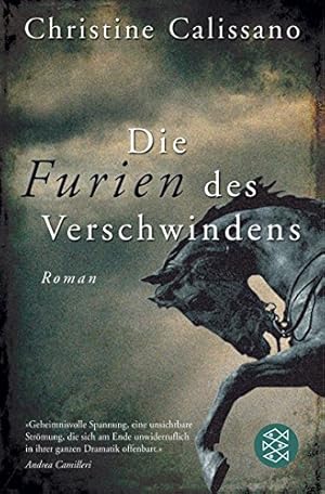 Seller image for Die Furien des Verschwindens: Roman for sale by Antiquariat Buchhandel Daniel Viertel