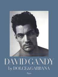 David Gandy by Dolce & Gabbana The Male Icon