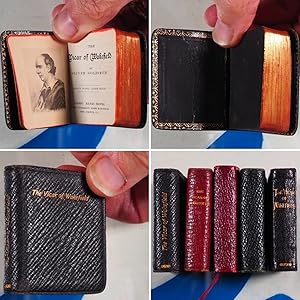 Vicar of Wakefield >>MINIATURE BOOK<<