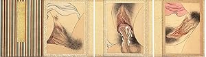 A collection of 12 highly detailed & explicit paintings (each 190 x 132 mm.) of vulvas, some with...