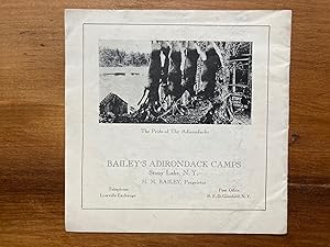 BAILEY'S ADIRONDACK CAMPS, STONY LAKE, N.Y.: THE ROAD TO SUMMER COMFORT