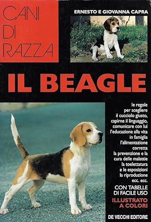 Il Beagle