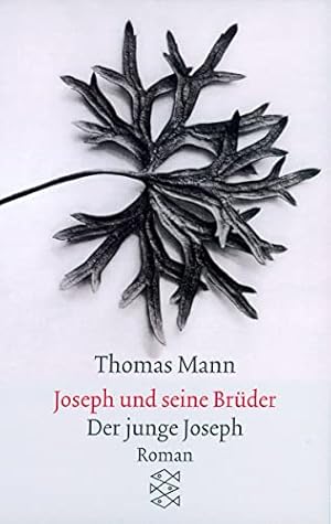 Bild des Verkufers fr Joseph und seine Brder. Der junge Joseph. (Thomas Mann, Gesammelte Werke in Einzelbnden. Frankfurter Ausgabe. Taschenbuchausgabe) zum Verkauf von Gabis Bcherlager