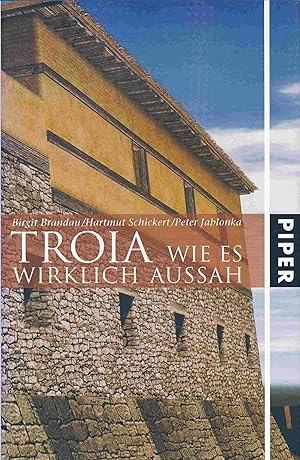 Seller image for TROIA: Wie es wirklich aussah for sale by Antiquariat Bernhardt