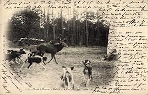 Bild des Verk�ufers f�r Ansichtskarte / Postkarte Chasse a Courre, Hallali, le cerf suivi des chiens, Jagdszene, Hunde, Hirsch zum Verkauf von akpool GmbH