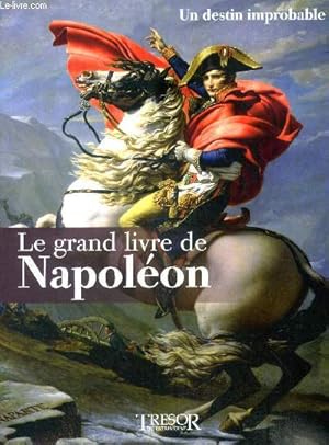 Image du vendeur pour Le grand livre de napoleon un destin improbable mis en vente par Le-Livre
