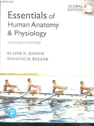 Seller image for Essentials of Human Anatomy & Physiology - 13th edition for sale by Le-Livre