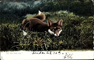 Seller image for Ansichtskarte / Postkarte On the look out, Fuchs auf einer Wiese, Jagd - Tuck 1419 for sale by akpool GmbH