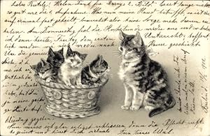 Litho Katzenkinder im Korb, Katzenmutter