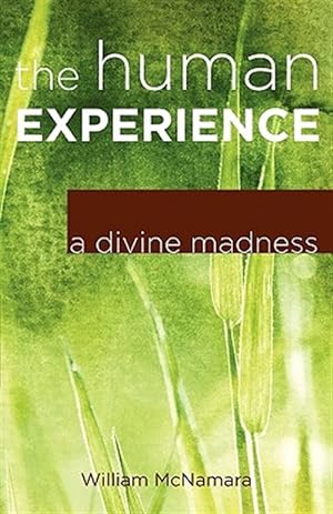 Bild des Verkufers fr The Human Experience: A Divine Madness zum Verkauf von GreatBookPrices