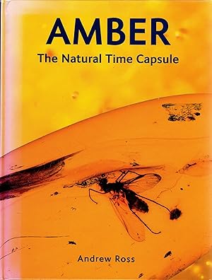 Immagine del venditore per Amber The Natural Time Capsule venduto da Delph Books PBFA Member