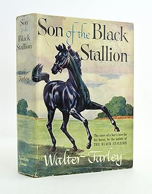 Seller image for Son of the Black Stallion for sale by Bookworm and Apple