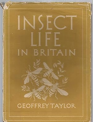 Insect Life in Britain - Britain in Pictures