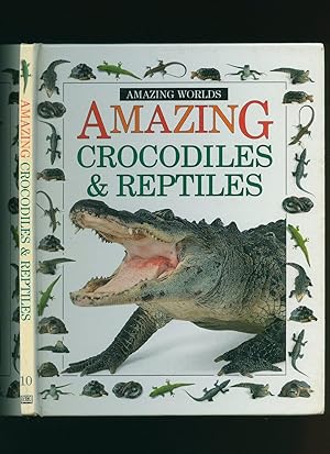 Bild des Verkufers fr Amazing Crocodiles and Reptiles: Amazing World's Series zum Verkauf von Little Stour Books PBFA Member