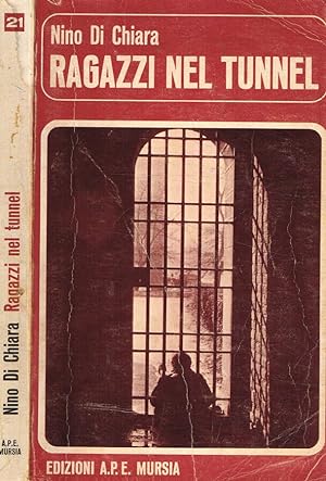 Immagine del venditore per Ragazzi nel Tunnel venduto da Biblioteca di Babele