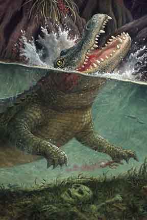Bild des Verkufers fr Alligator zum Verkauf von Ziesings