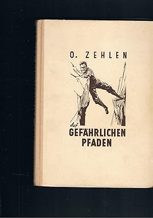 Imagen del vendedor de Auf gefhrlichen Pfaden - iillustriert von O. Braun a la venta por manufactura